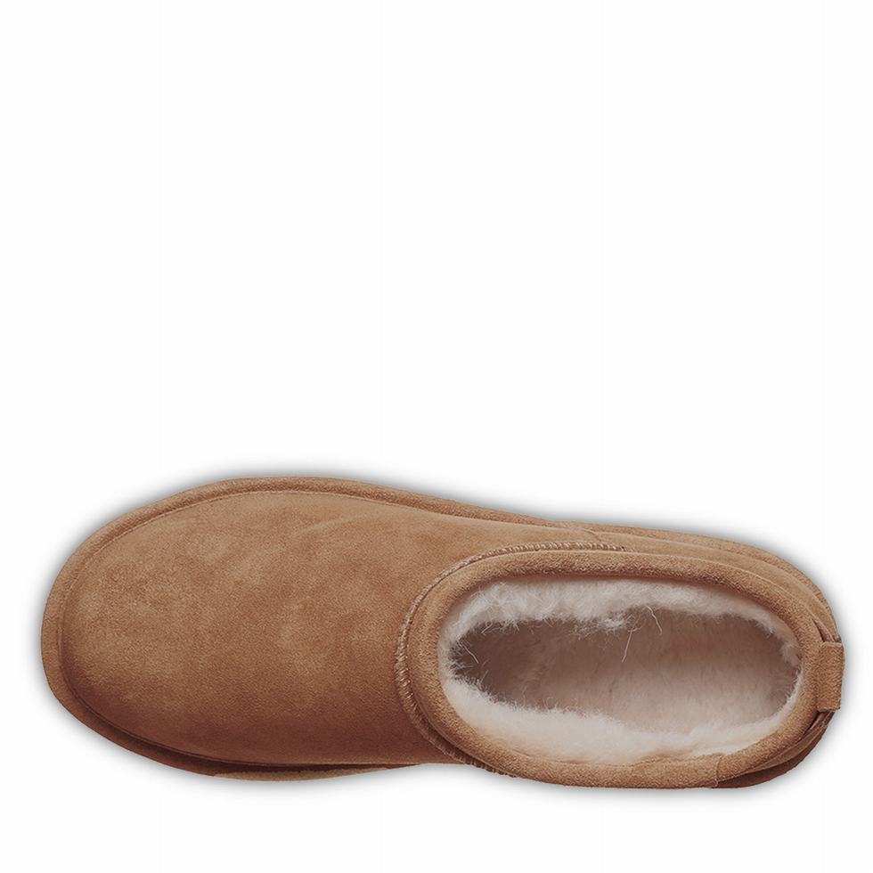 Buty na Platformie Damskie Bearpaw Retro Super Shorty Brązowe | NCB7749DJ